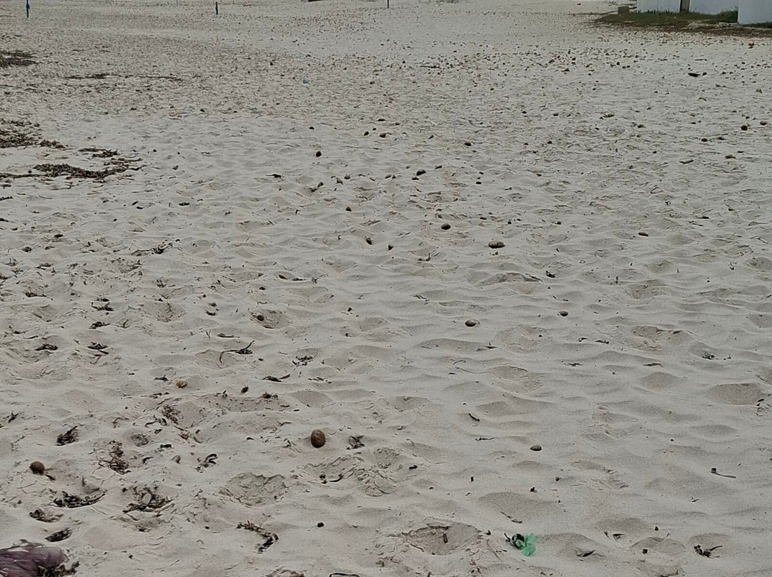 Port El Kantaoui Beach-康大维港必去景点