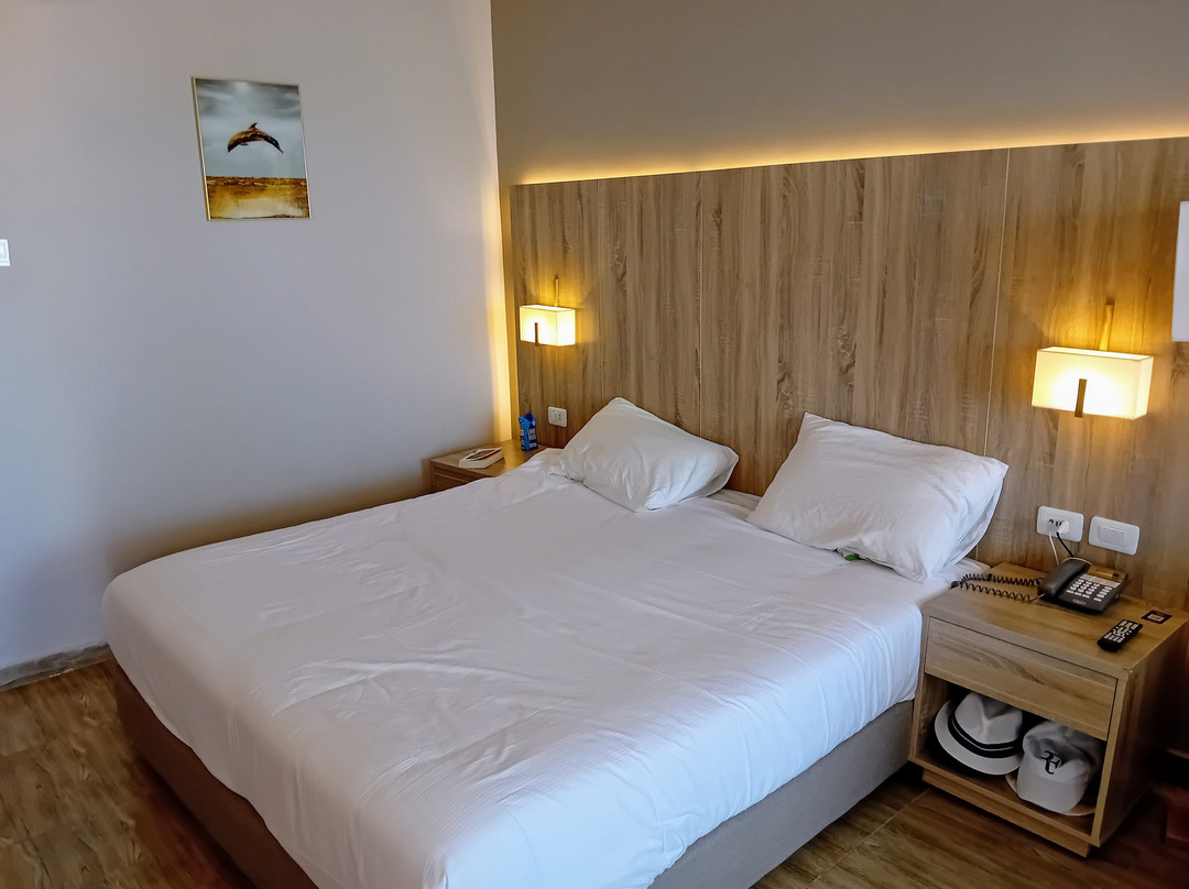 Seven Seas Jolie Bay主图