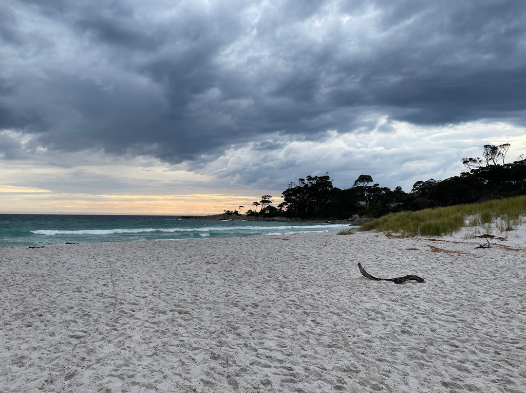 Bilalong Bay Beach景点图片