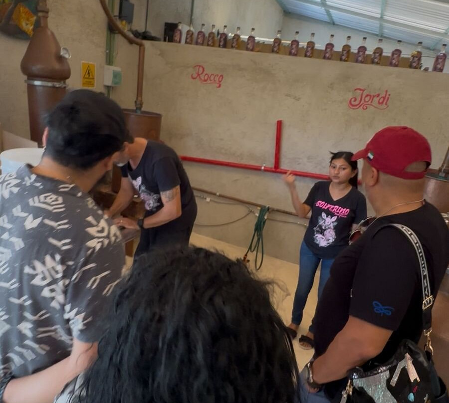 Solferino Native Destilería-Solferino必去景点