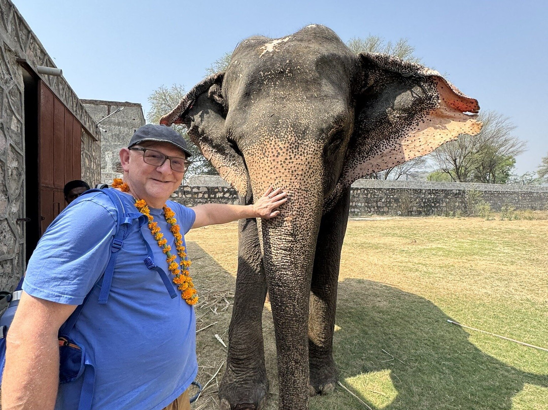 Elefanjoy Elephant Sanctuary-斋蒲尔必去景点