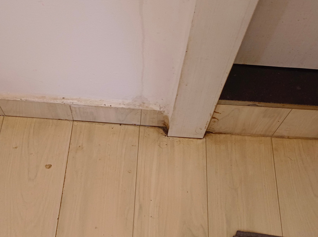 Foxoso LA Beach Resort主图