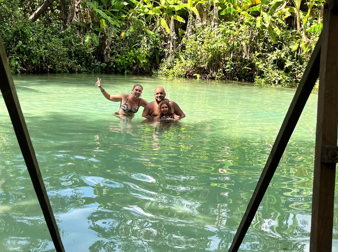 Fervedouro Do Alecrim-Sao Felix do Tocantins必去景点