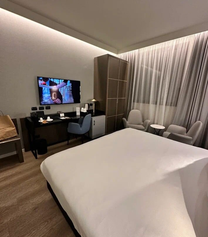 亚米利亚酒店主图