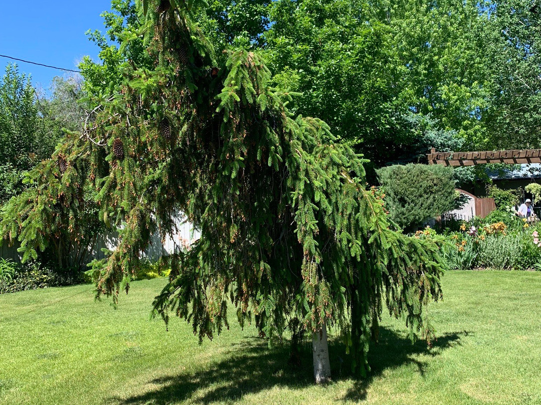 DanWalt Gardens-比灵斯必去景点