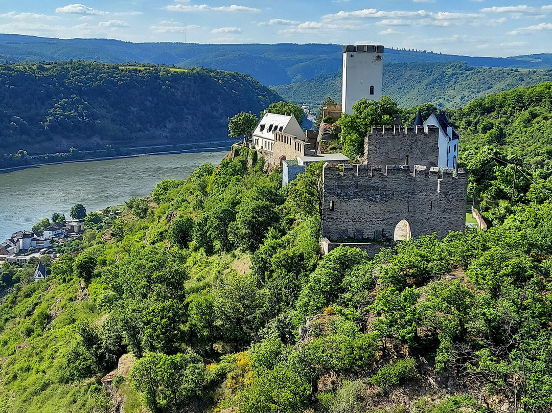 Hotel Castle Liebenstein主图