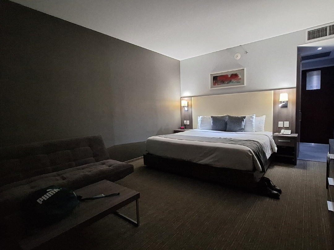 Casa Inn Business Hotel Celaya Galerías主图