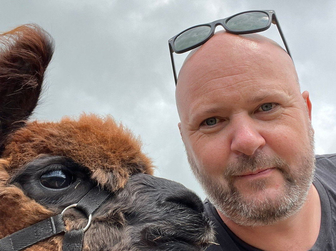 Wetley Moor Alpacas-特伦特河畔斯托克必去景点