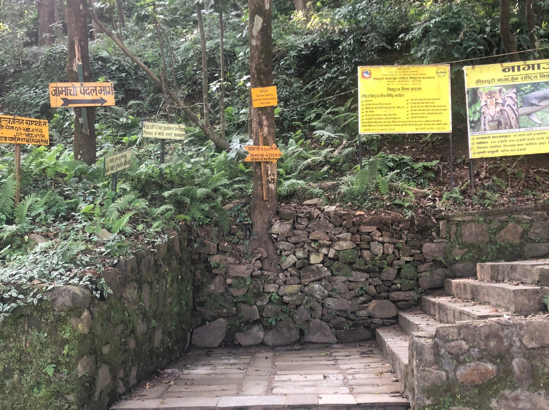 纳嘉郡森林保护区-加德满都必去景点