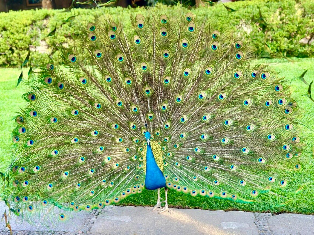 Spa Orlane by Las Mañanitas-奎尔纳瓦卡必去景点