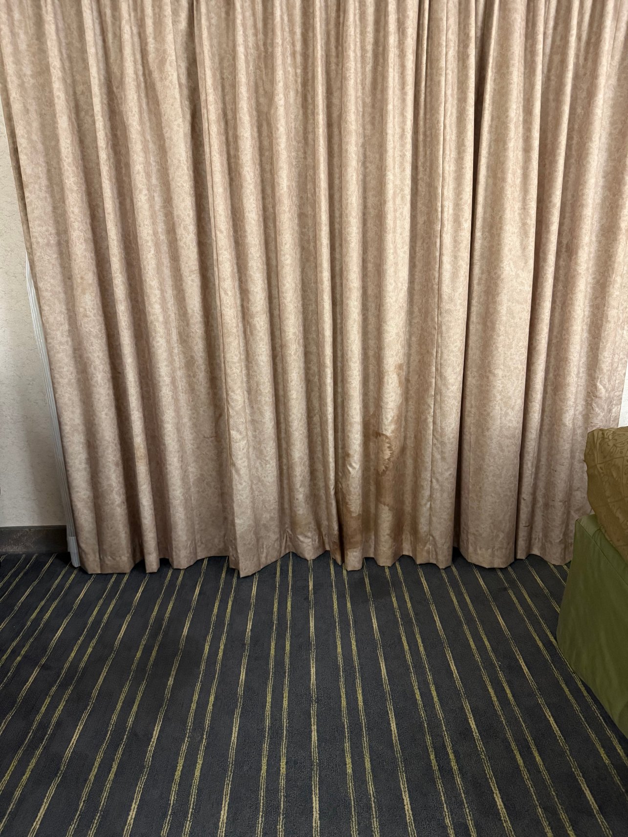 SureStay by Best Western Sunnyvale Silicon Valley-客卧