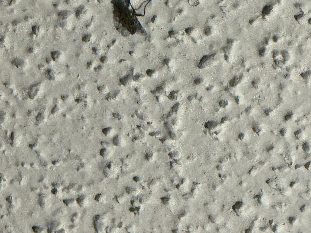 Candlewood Suites Washington-Fairfax by IHG主图