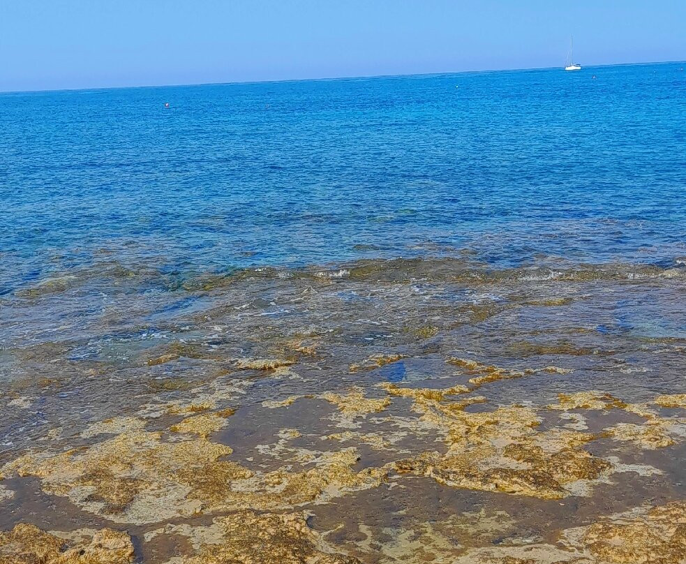 Paphos Harbour and Port-帕福斯必去景点