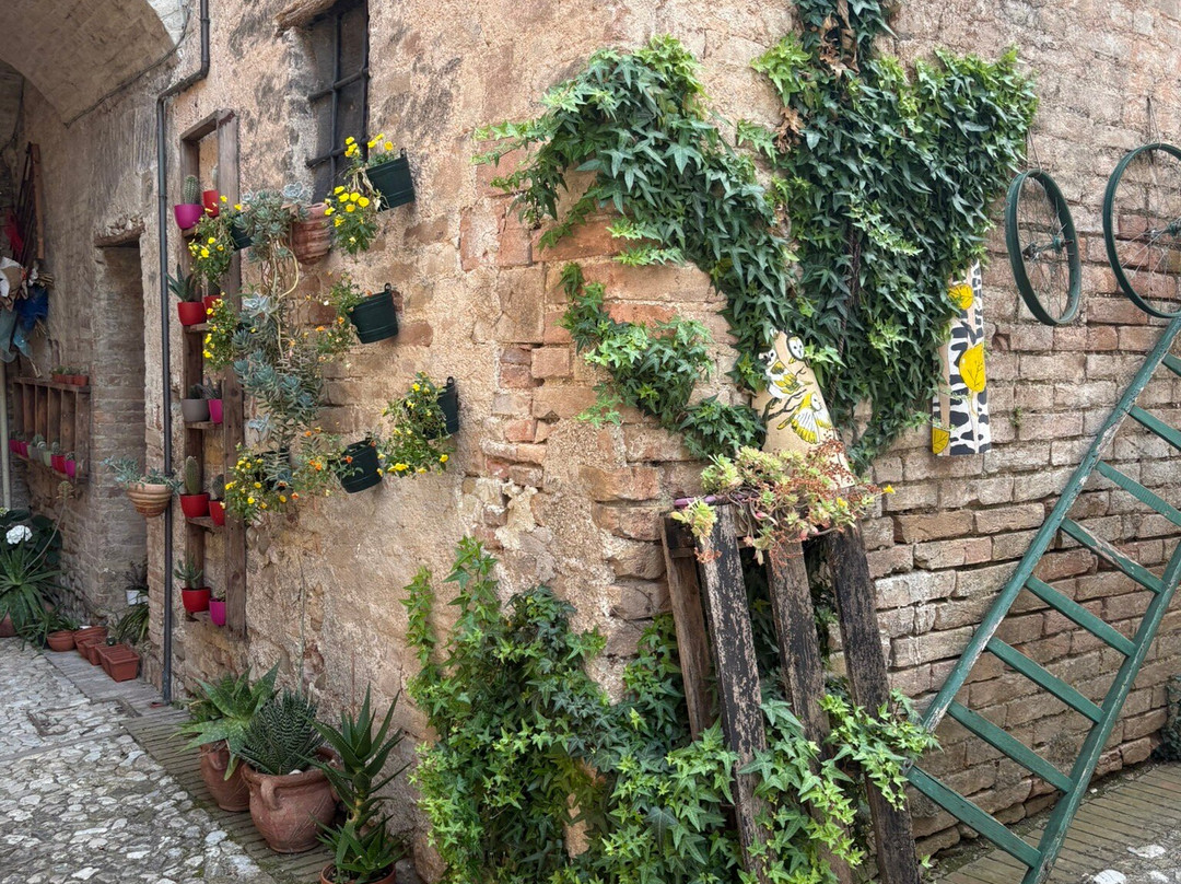 Torre della Botonta主图