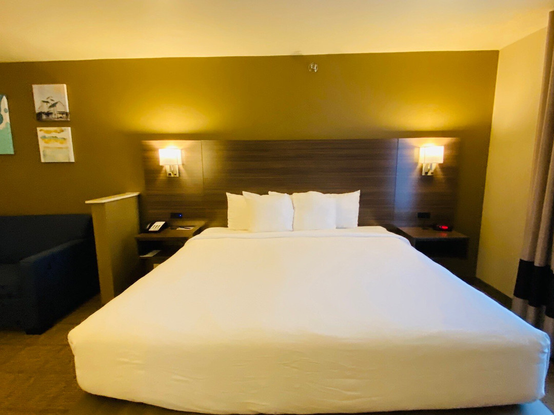 Comfort Inn & Suites主图