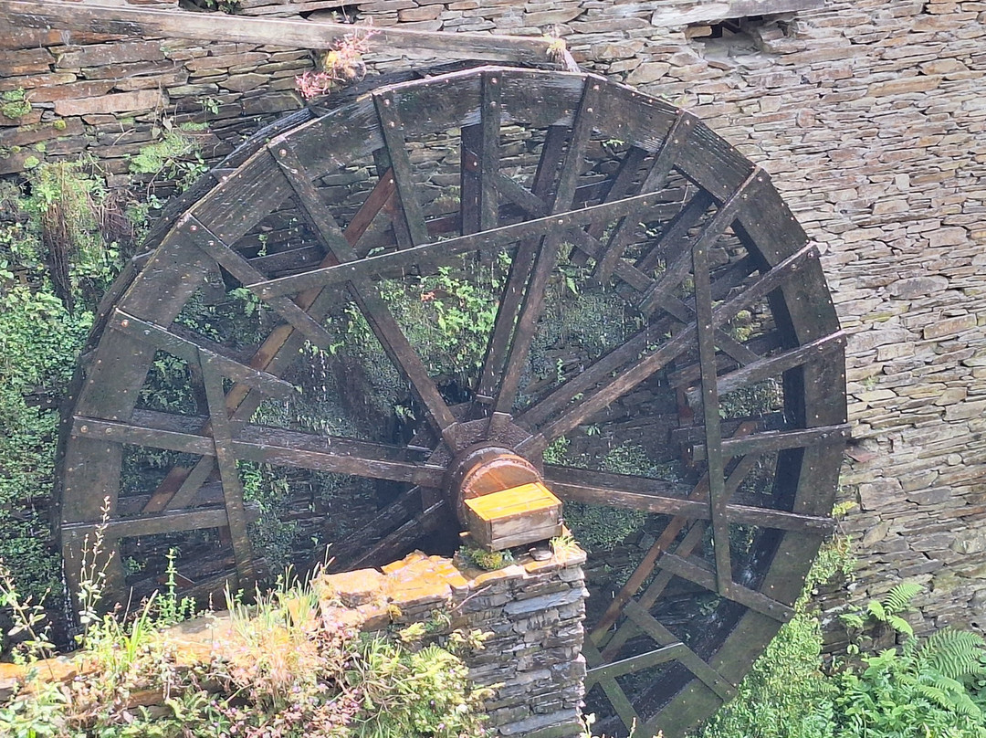 Museo Molinos Mazonovo景点图片