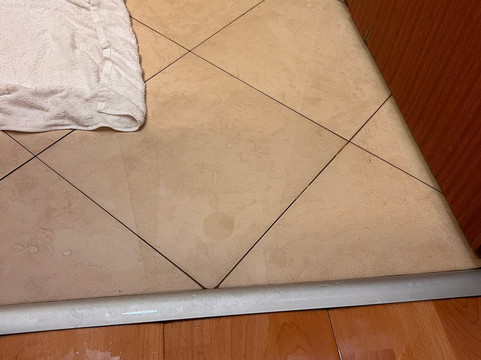 丽晶特酒店主图