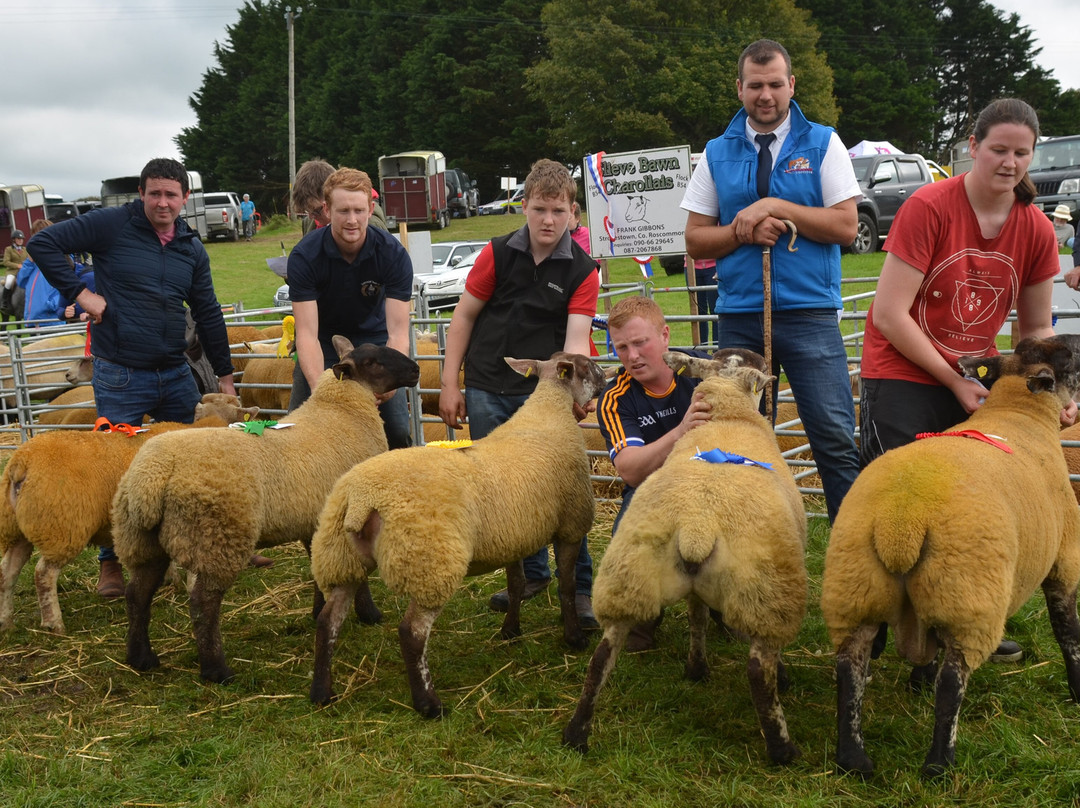 Swinford Agricultural Show-Swinford必去景点