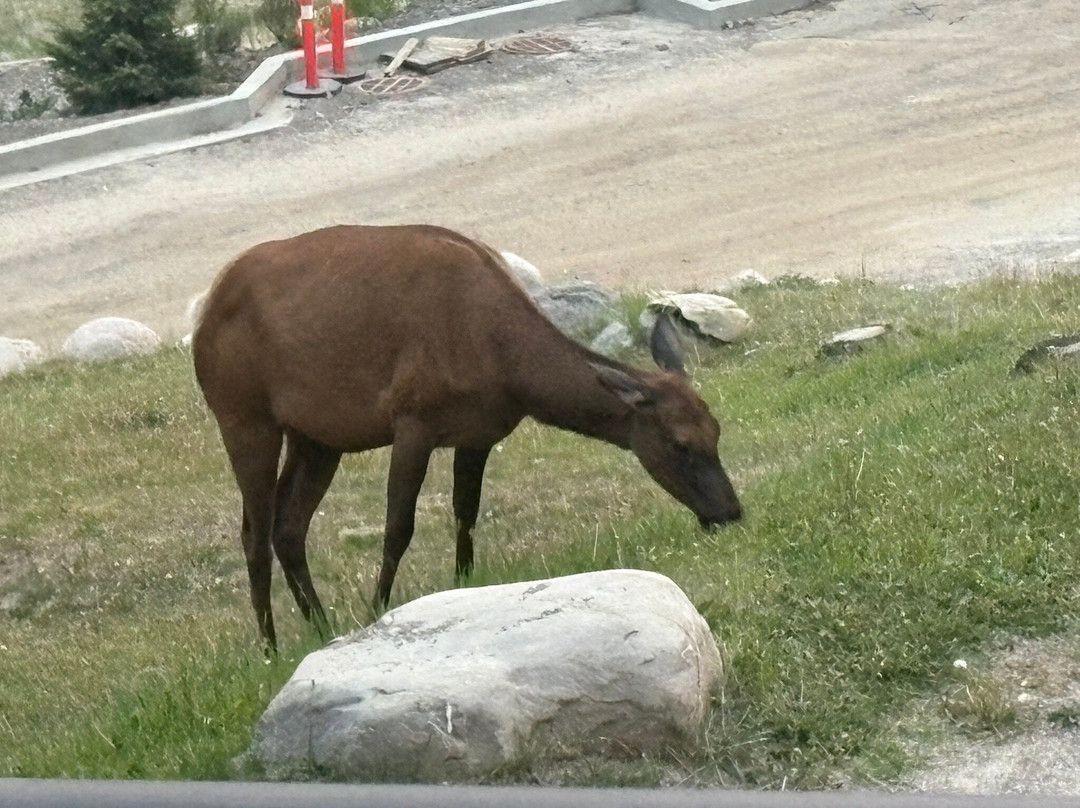 金字塔湖度假酒店主图