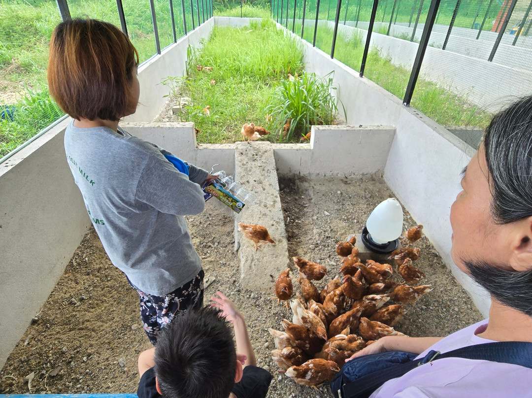 Gentle Farms 温柔农场-Gelang Patah必去景点