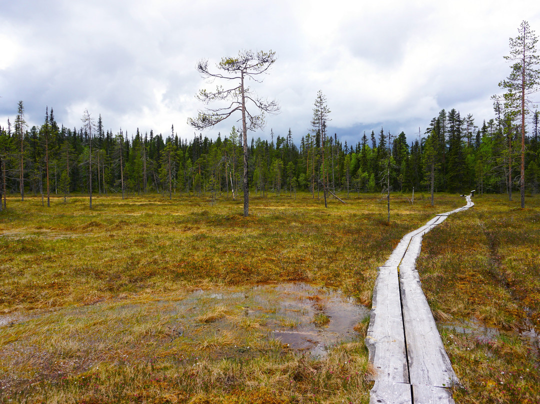 Pyhäjoen Luontopolku-Muonio必去景点
