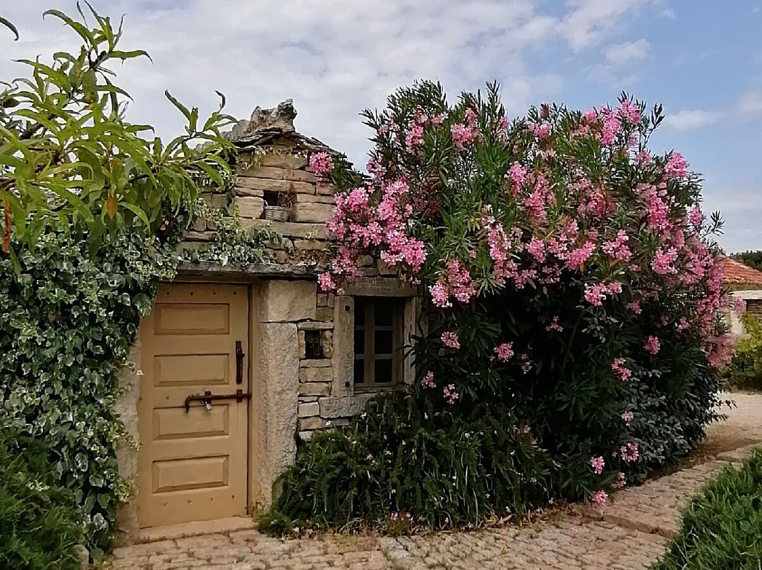 Dalmatian Ethno Village景点图片