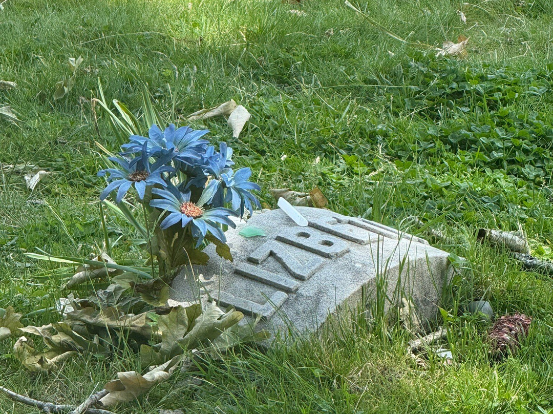 Oak Grove Cemetery-福尔里弗必去景点