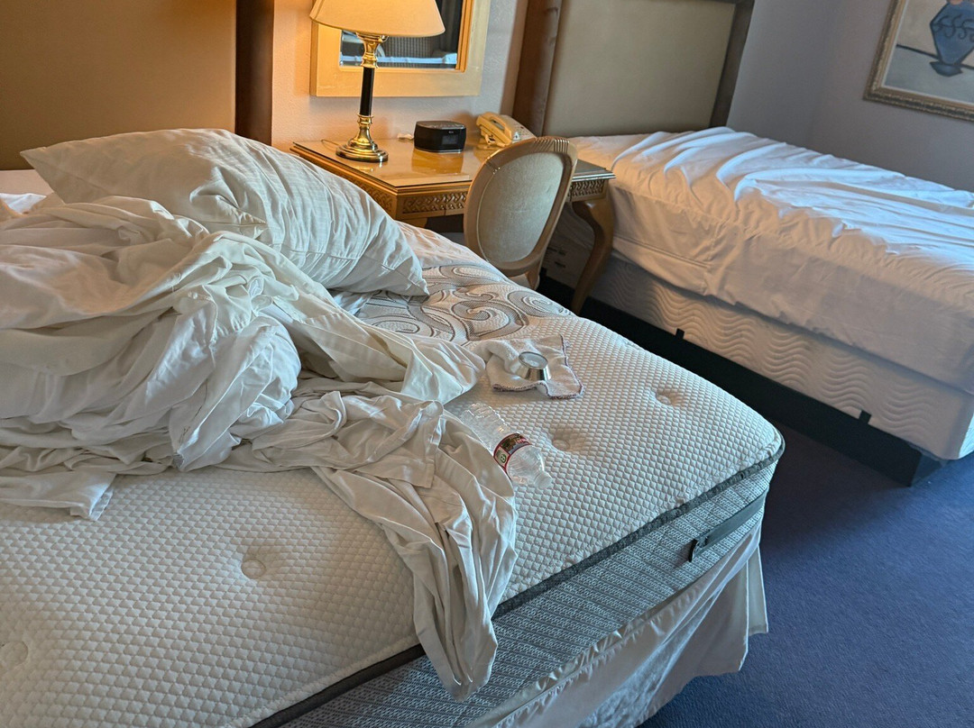 Laughlin River Lodge主图