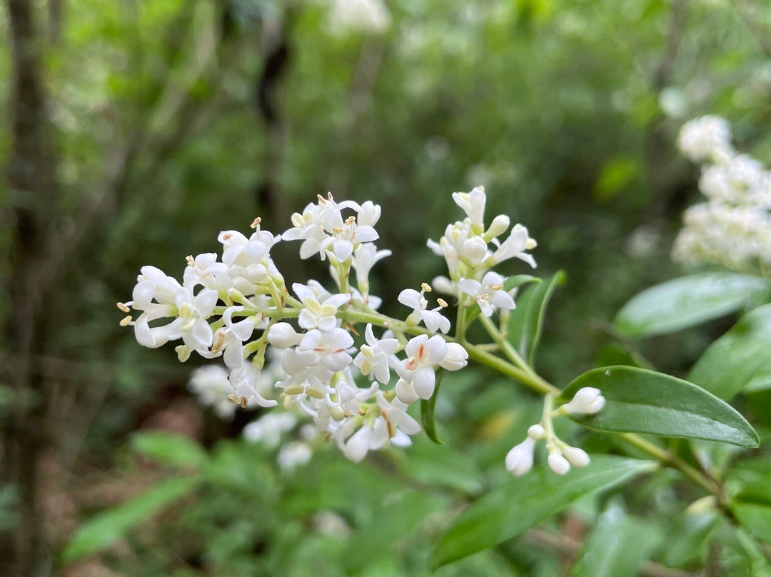 Tacoma Nature Center-塔科马必去景点