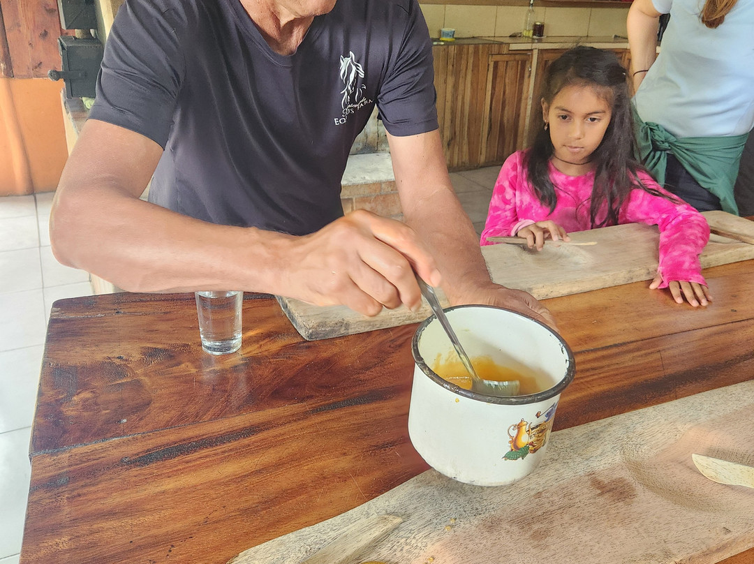 Equus Monteverde-Alto Cebadilla必去景点