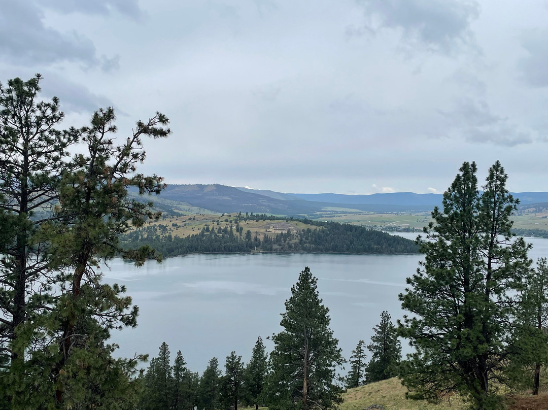 Boat Rentals and Rides on Flathead Lake-Big Arm必去景点
