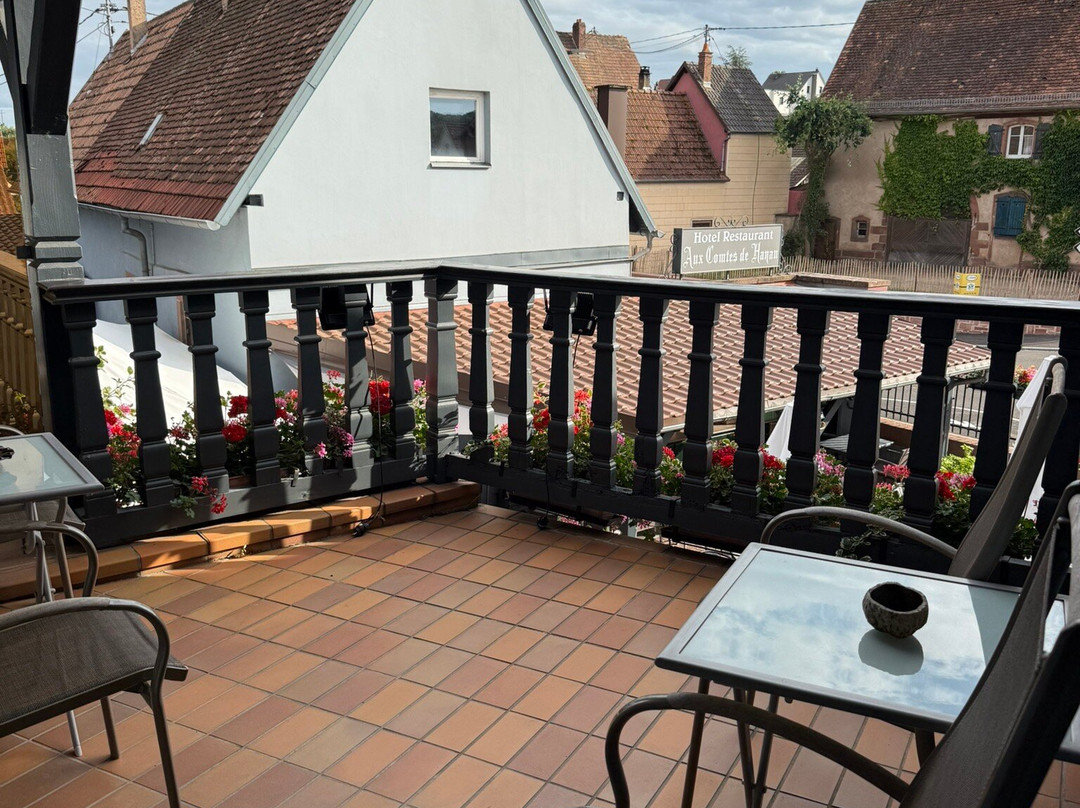 Hotel Restaurant  Aux Comtes de Hanau主图
