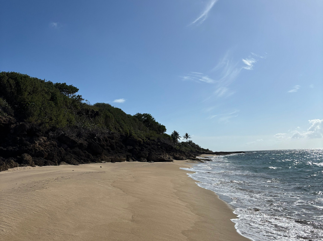 Playuelas Horse Rides-Aguadilla必去景点