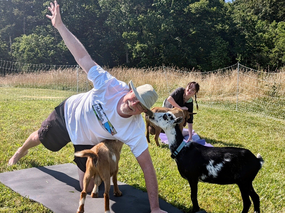 Asheville Wellness Tours-阿什维尔必去景点