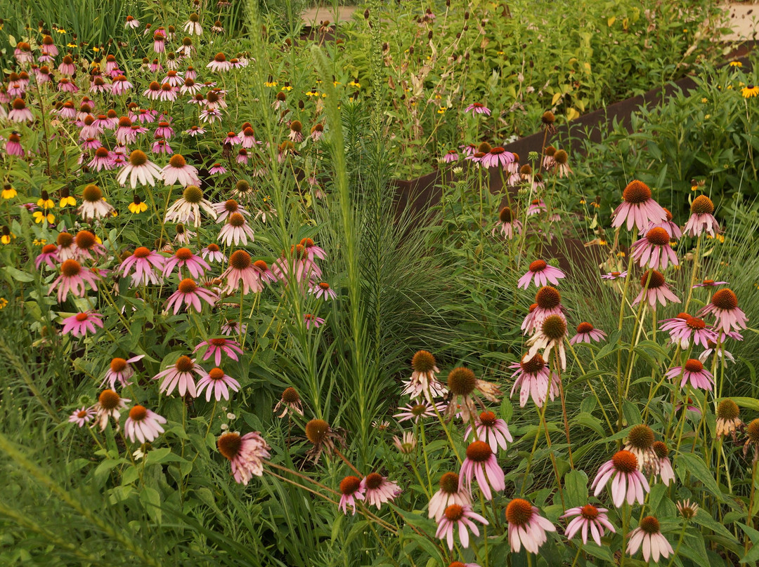 Mississippi Museum of Art-杰克逊必去景点