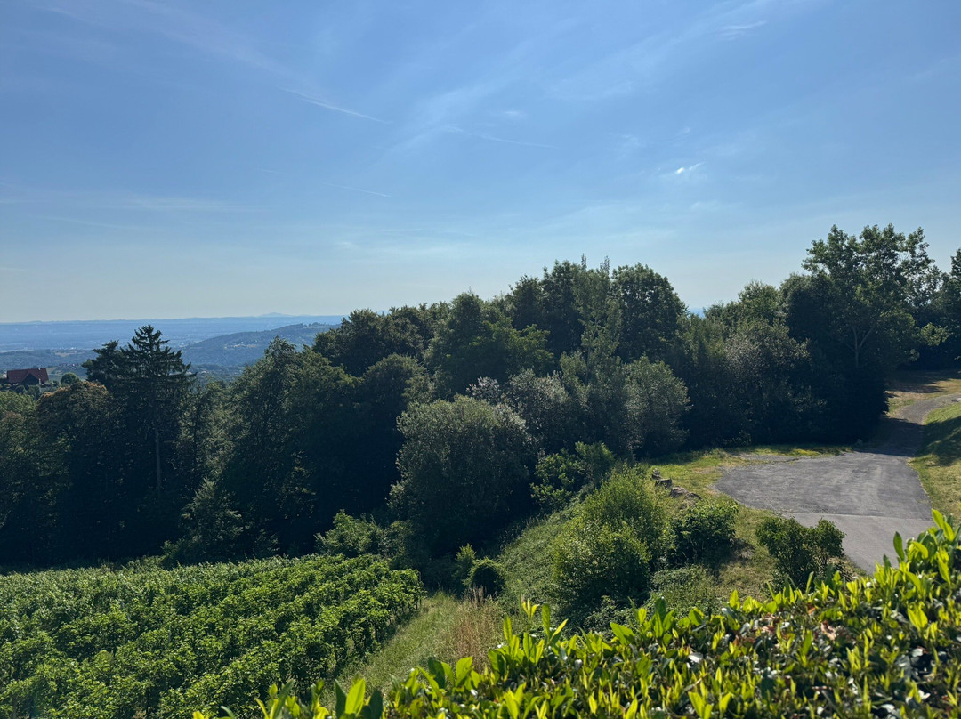 Wohlmuth-Lückl主图