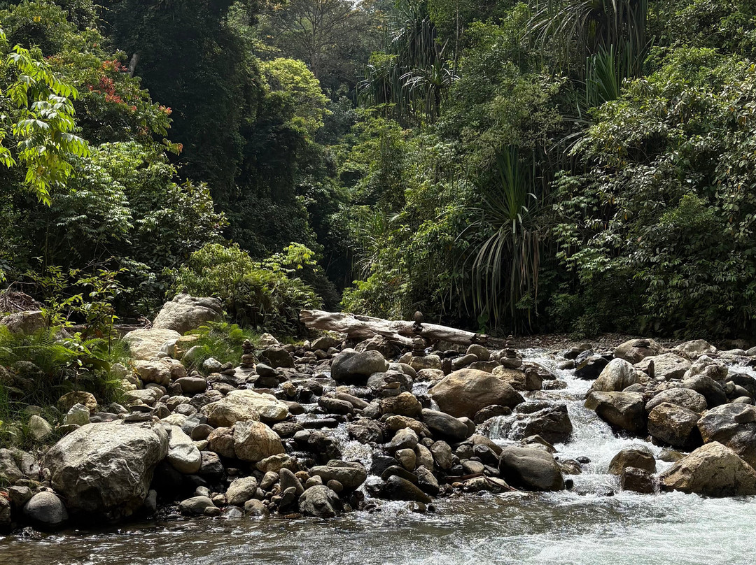 Friendship Guesthouse & Restaurant主图