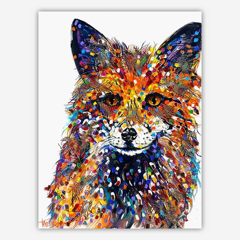 Tracey Keller Designs-Noosa Heads必去景点