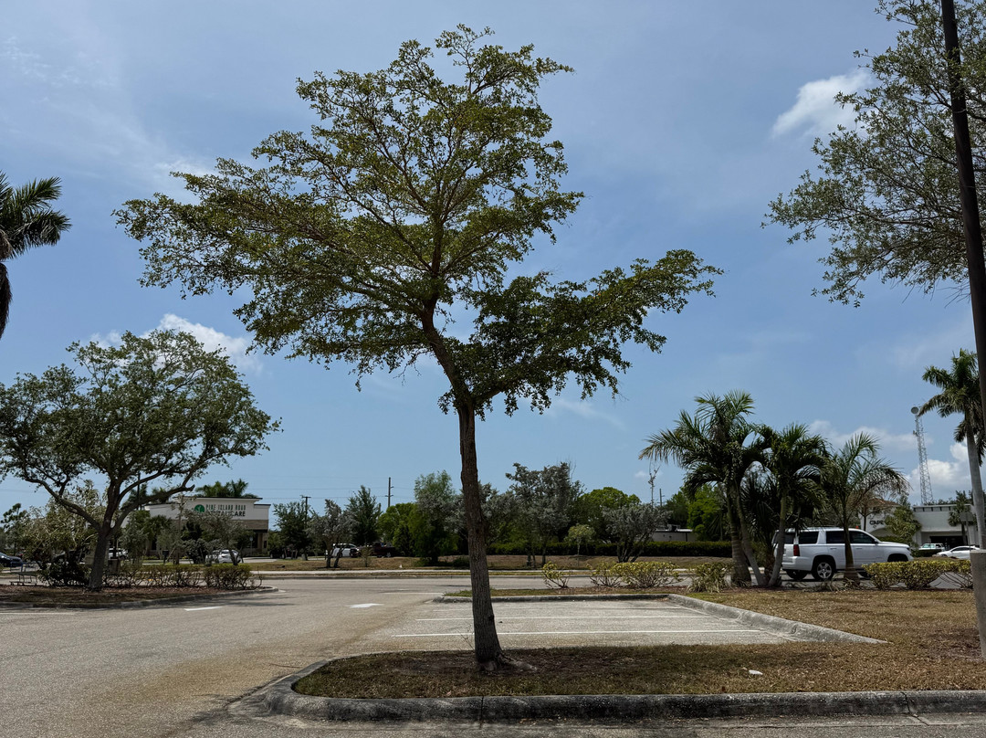 Sirenia Vista Park-开普科勒尔必去景点