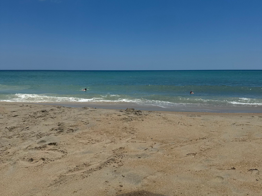 The Golden Strand主图