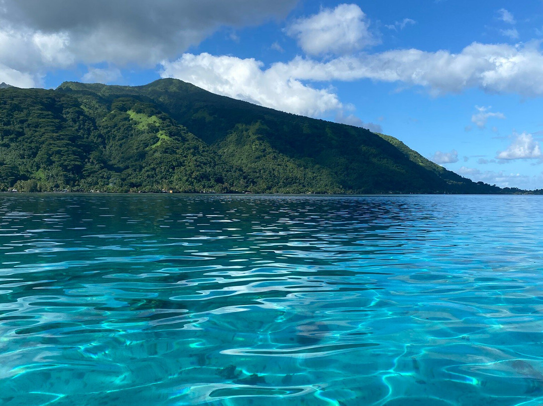 Tahiti Iti Tour and Surf-Vairao必去景点