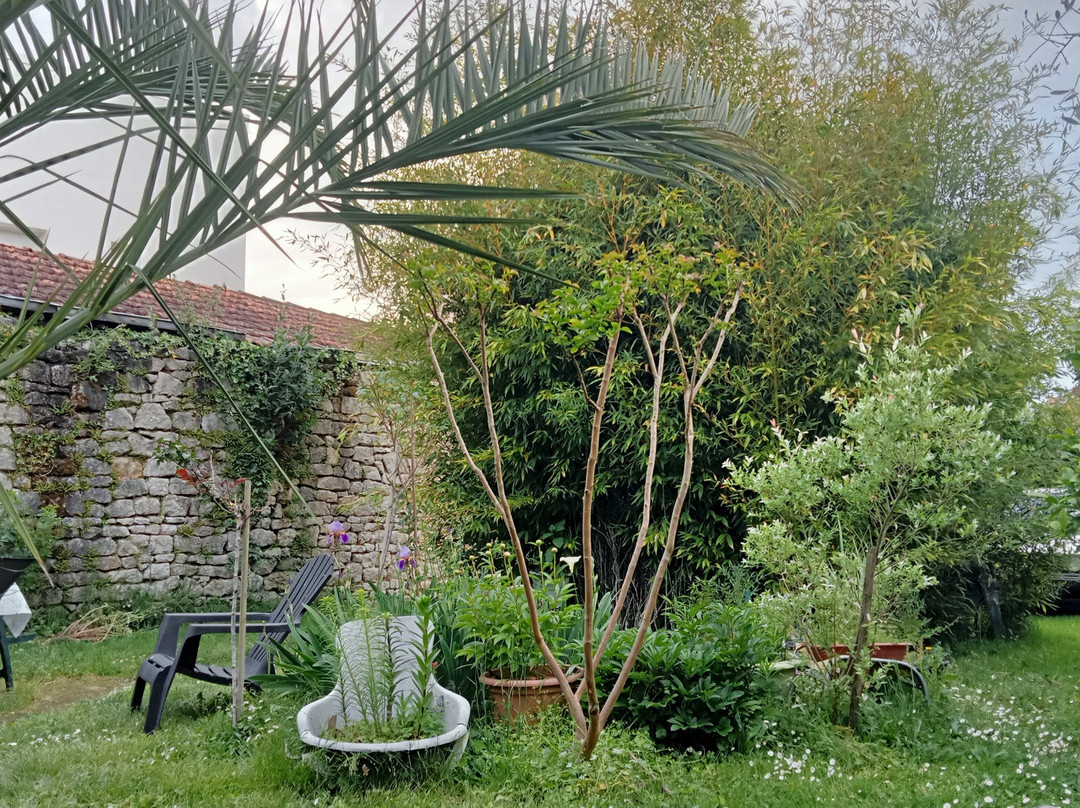 巴黎人酒店主图