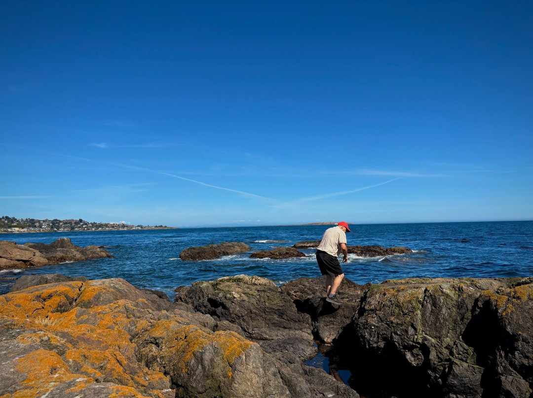 Clover Point Park-维多利亚必去景点