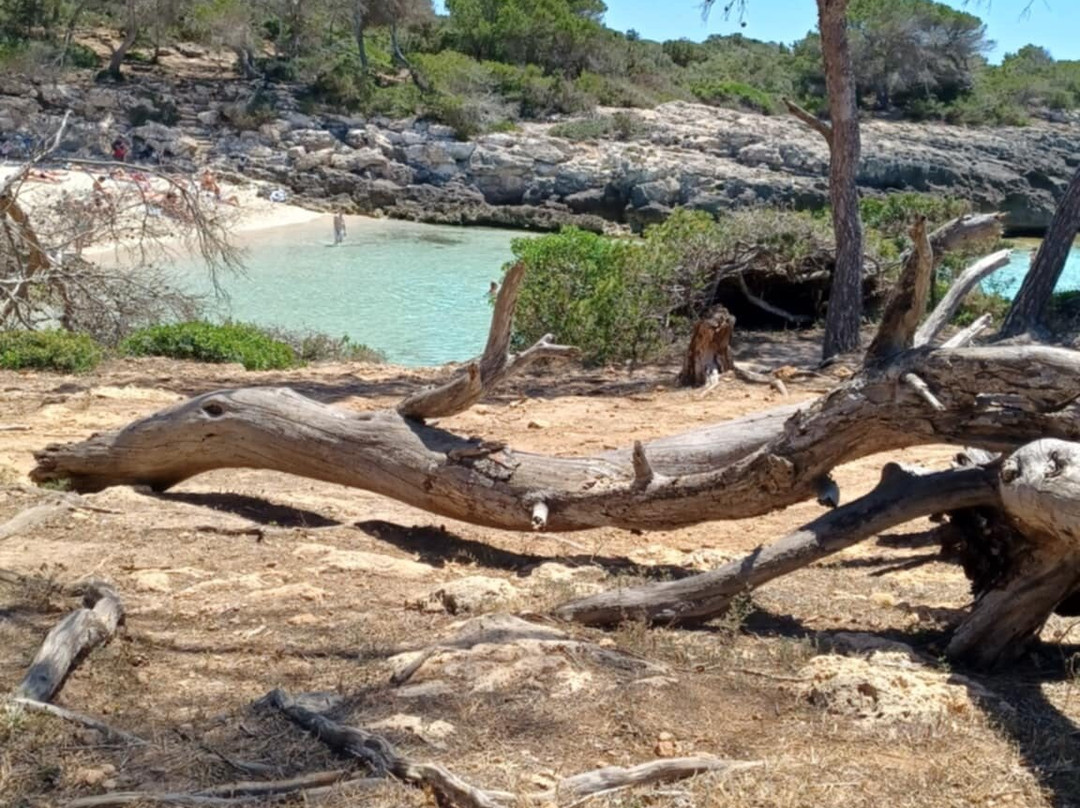 Cala Es Talaier-休达德亚必去景点