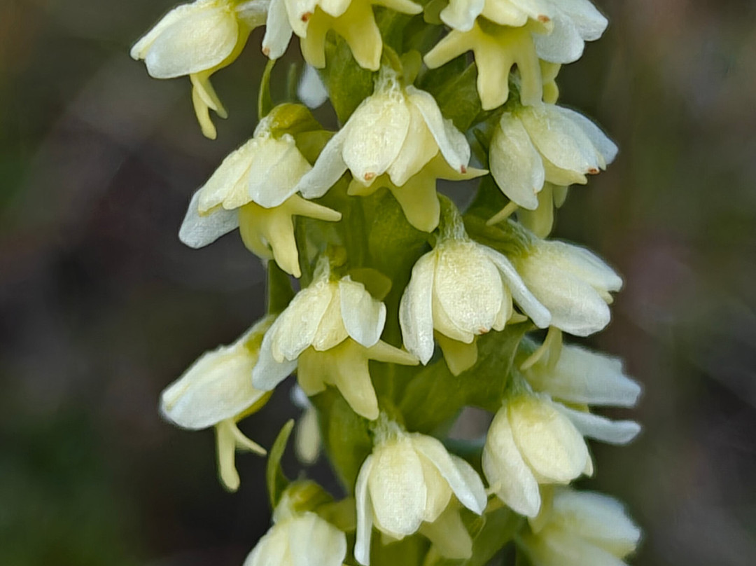 Blue Ice Explorer-Narsarsuaq必去景点