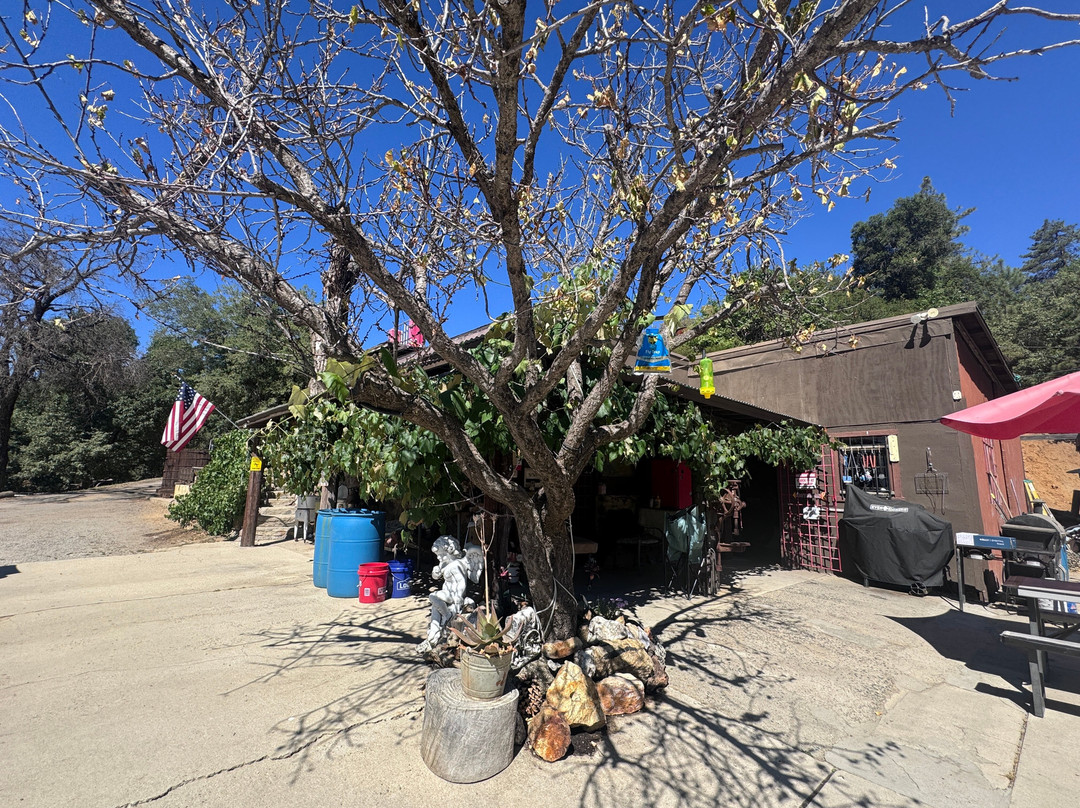 Eagle and High Peak Mine-朱利安必去景点
