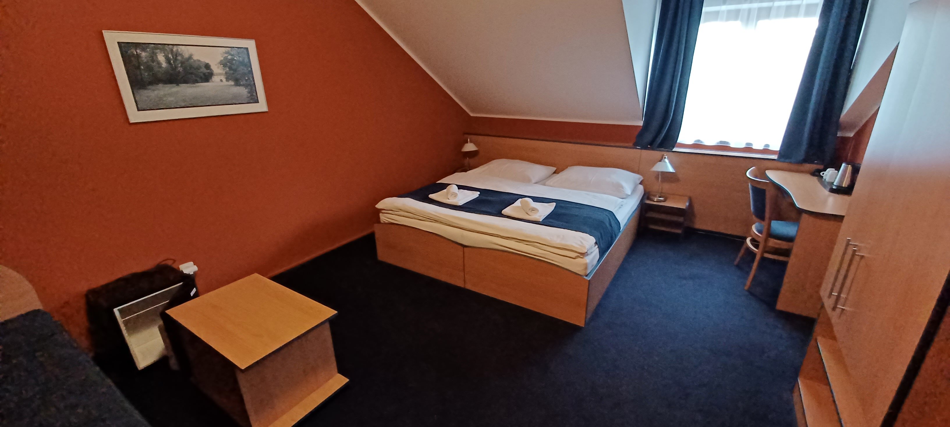 Hotel u Milina-客卧