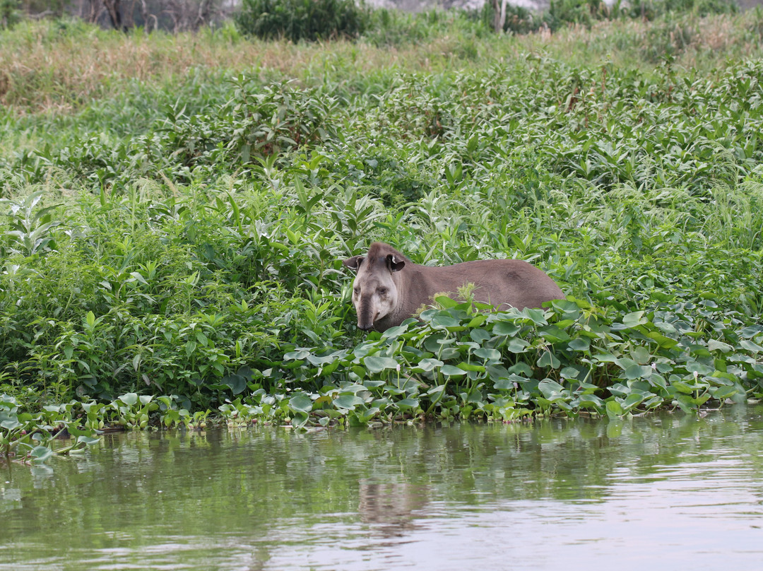 Hotel Baiazinha主图