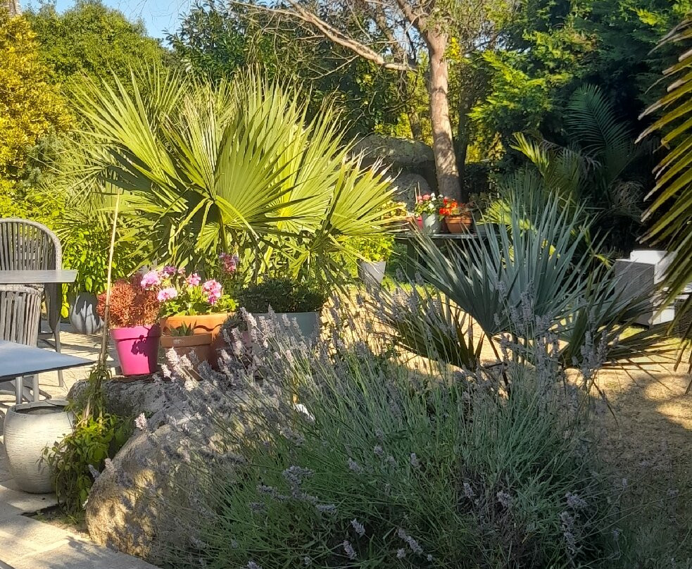 Villa Des Fleurs D'Ajoncs主图