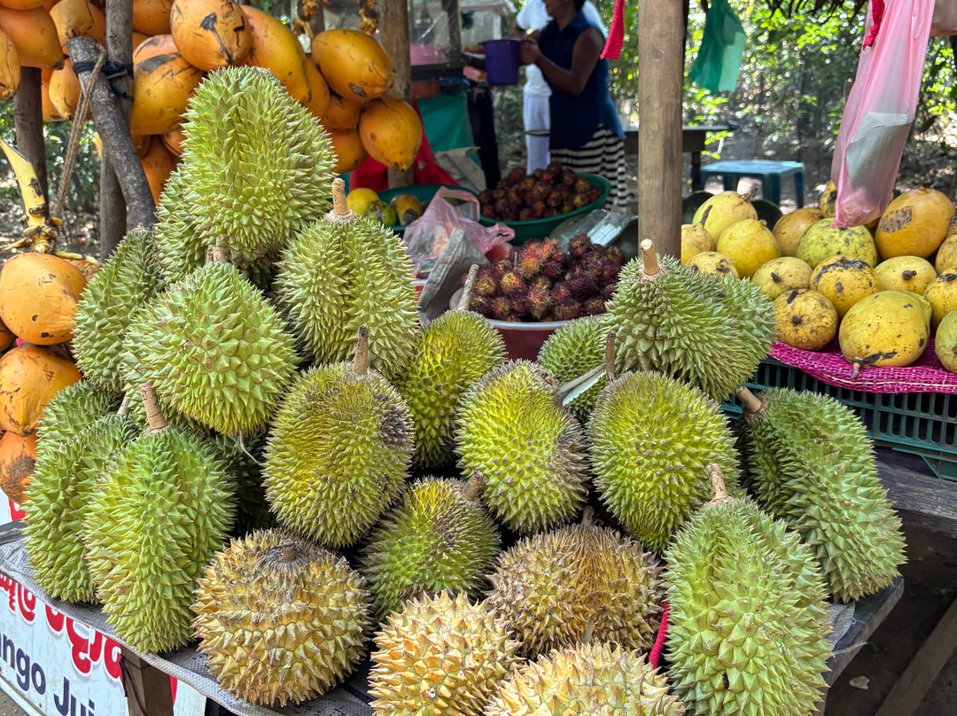 C-Lanka Tours & Travels-科伦坡必去景点